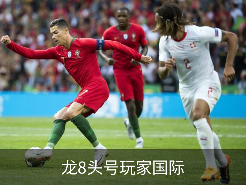 龙8头号玩家国际介绍